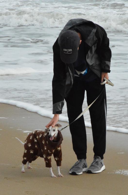 Greyhounds Reach the Beach turns 25 Cape Gazette